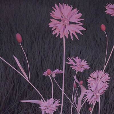 赴一场科技之约！第三届“天翼云...