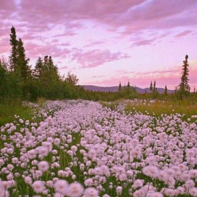 向前冲!这个“村”不一般