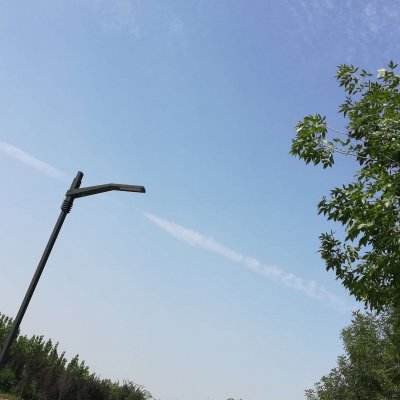 回应马斯克：AI替代就业没那么悲观丨陆铭专栏